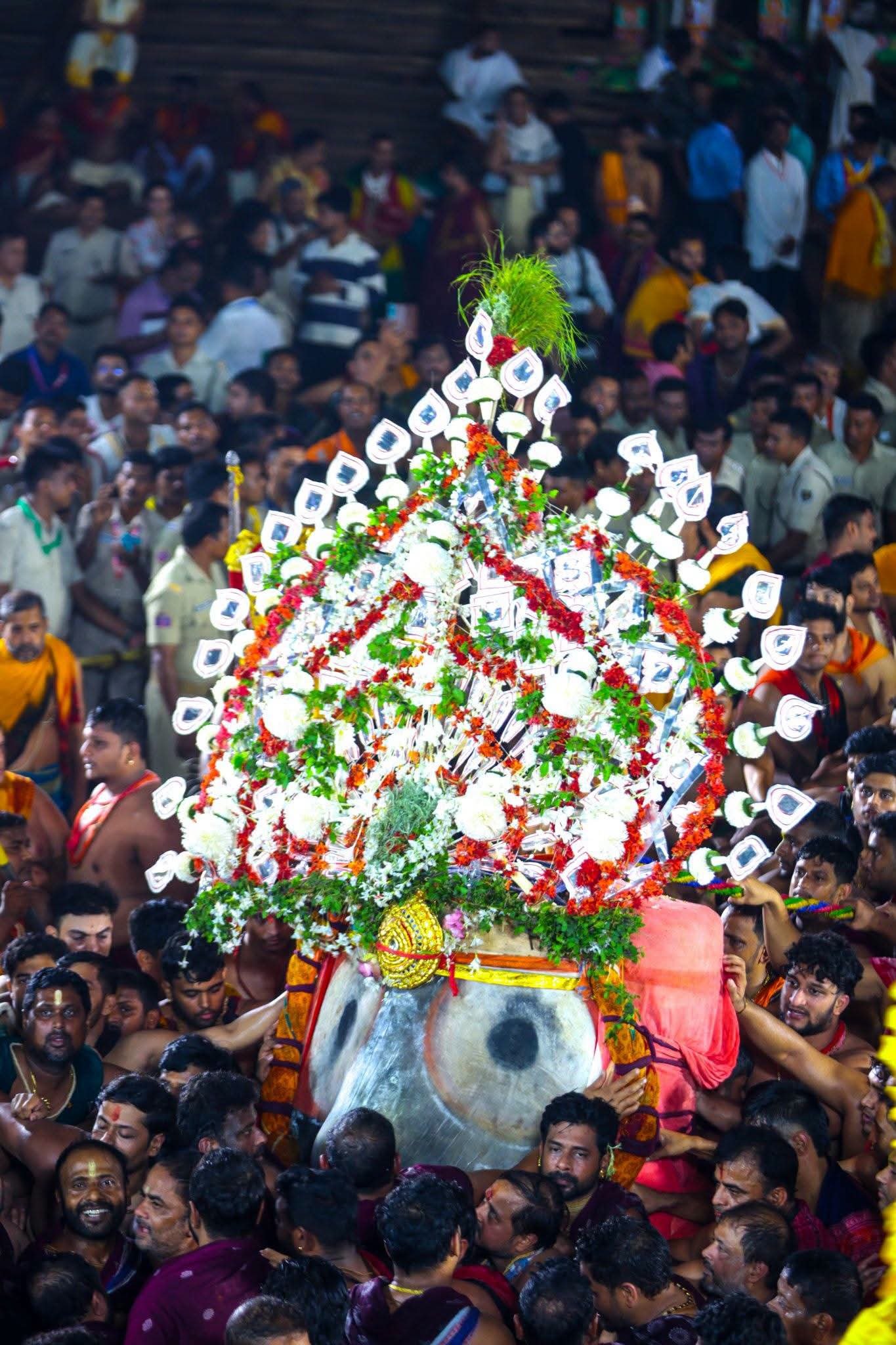 ଜନ୍ମବେଦୀରେ ମହାବାହୁ, ସକାଳ ୧୦ଟାରୁ ଆଡ଼ପ ଦର୍ଶନ ଦେବେ ମହାପ୍ରଭୁ