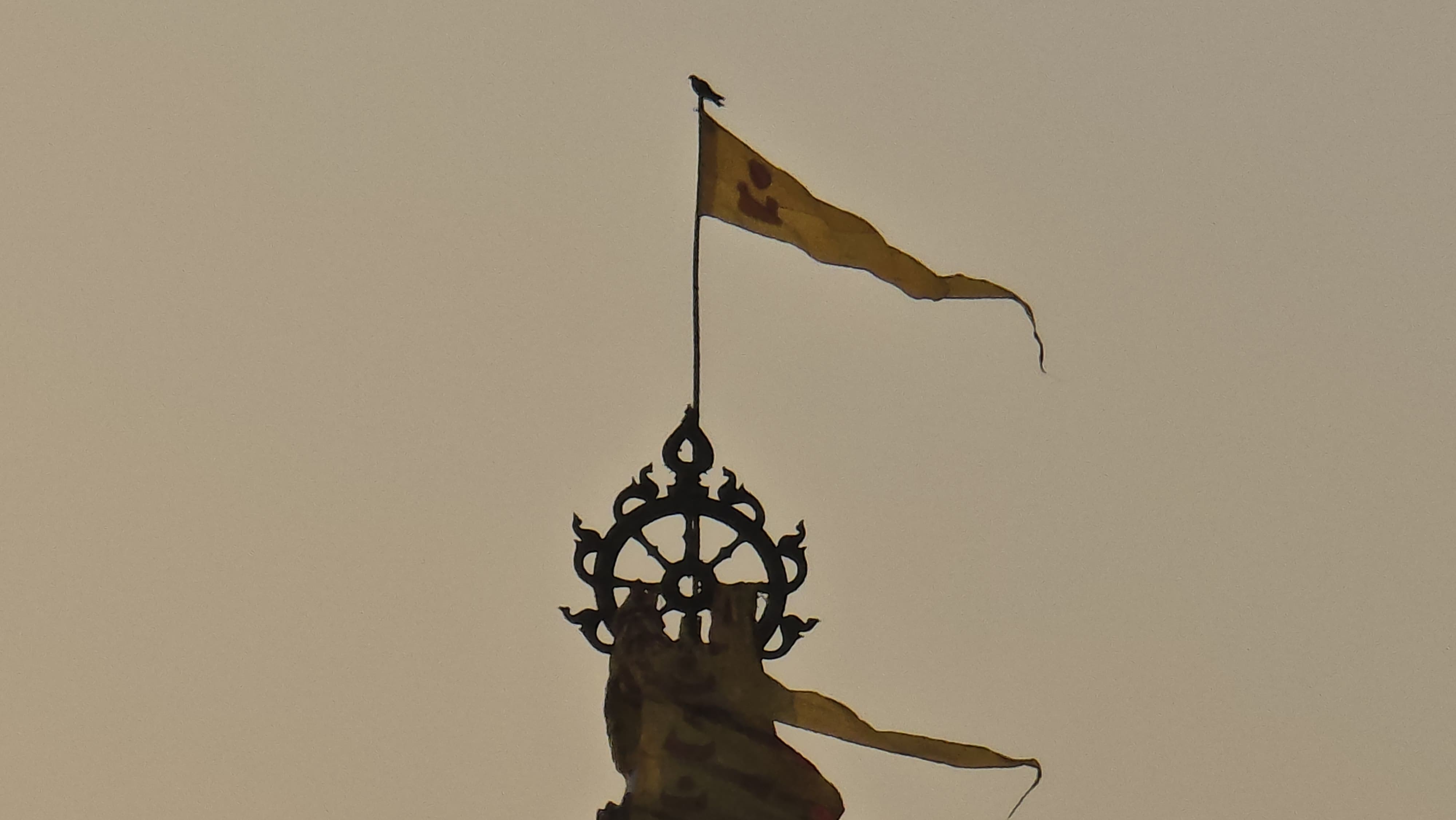  ଶ୍ରୀମନ୍ଦିର ନୀଳଚକ୍ର ଉପରେ ପୁଣି ବସିଲା ଚିଲ  