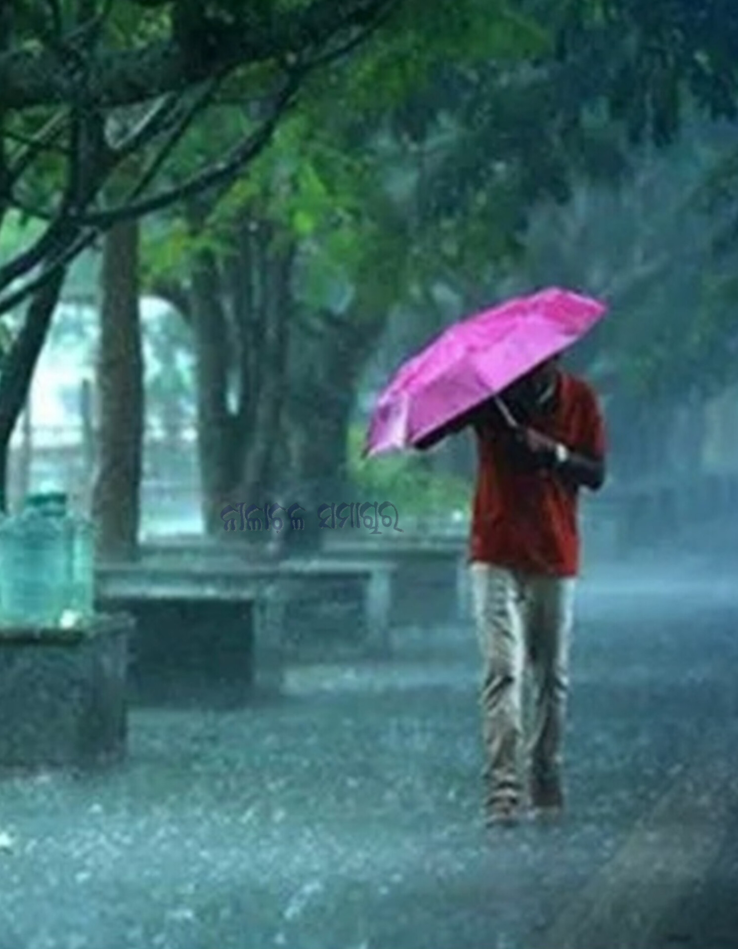  ଗତ 24ଘଣ୍ଟାରେ ଜିଲ୍ଲାରେ 230ମିଲିମିଟର ବର୍ଷା, 