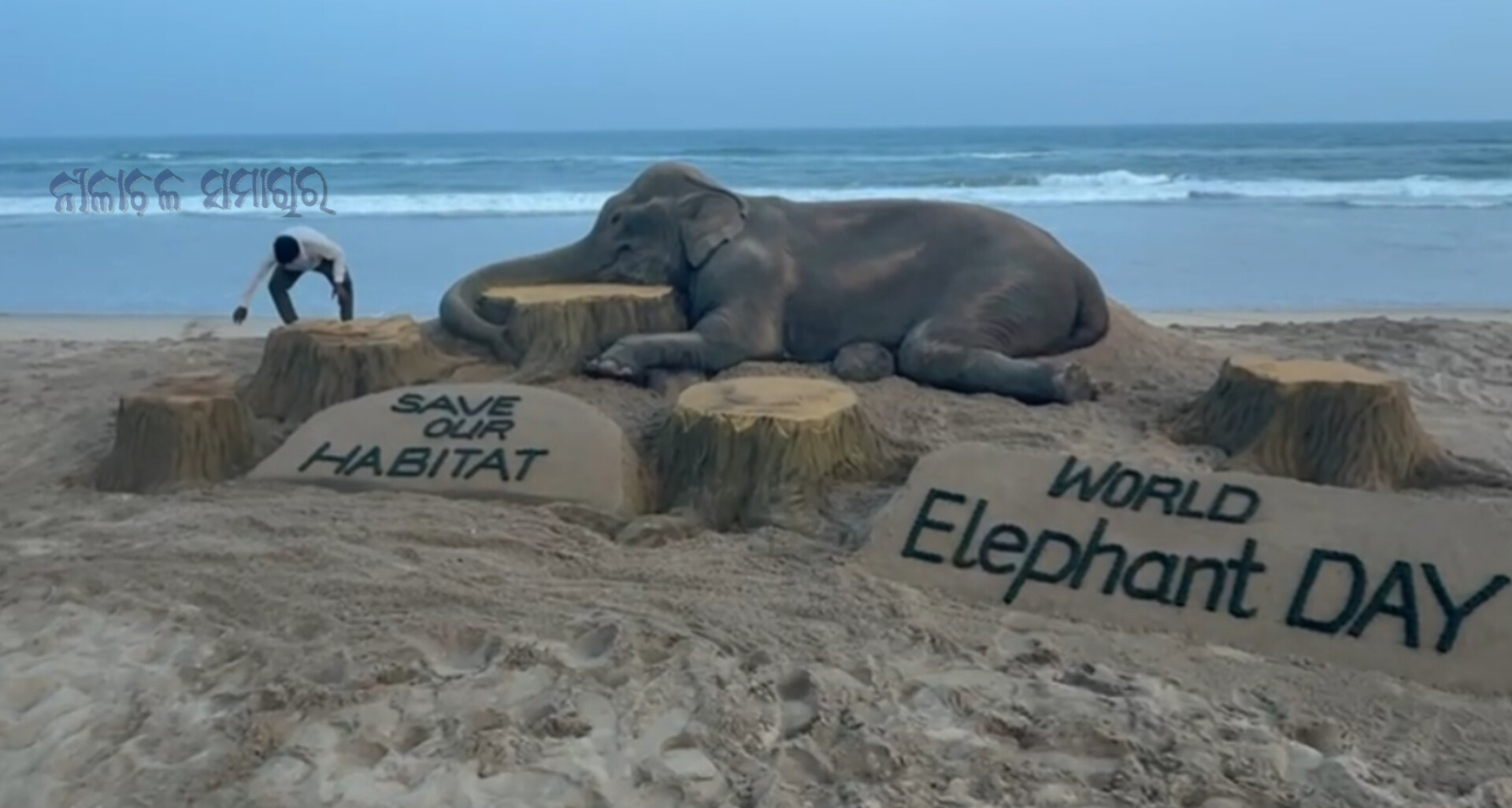 ବାଲୁକା କଳାରେ ହାତୀ ସୁରକ୍ଷା ବାର୍ତ୍ତା 