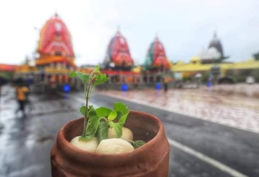 ନୀଳାଦ୍ରି ବିଜେ ପାଇଁ ପୁରୀରେ ଭକ୍ତଙ୍କ ସୁଅ, ରସଗୋଲା ଭୋଗ ଲଗାଇ ପାଳିଲେ ରସଗୋଲା ଦିବସ